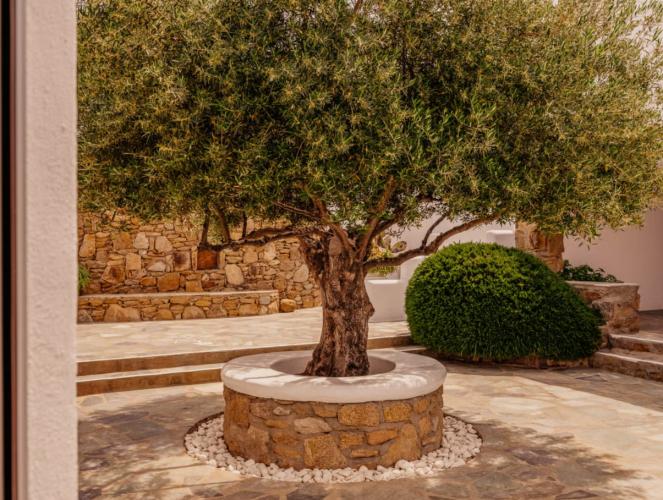 ホテル Soho Roc House Mykonos パラガ 部屋 写真